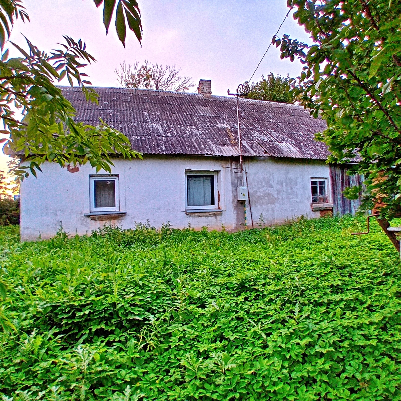 Sodyba Joniškio rajono sav., Mėdginuose, J. Avyžiaus g. – nuotrauka 5