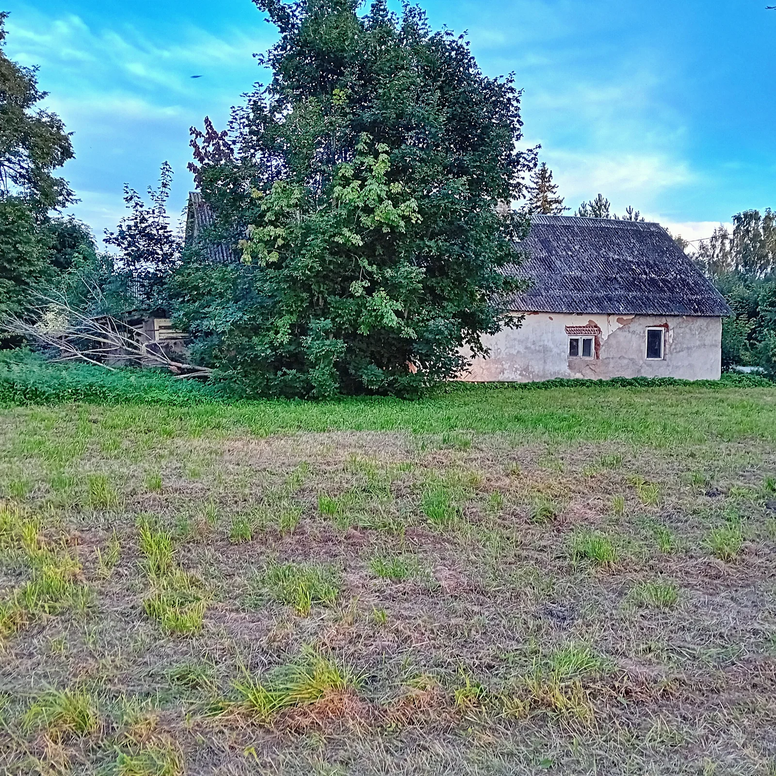 Sodyba Joniškio rajono sav., Mėdginuose, J. Avyžiaus g. – nuotrauka 6