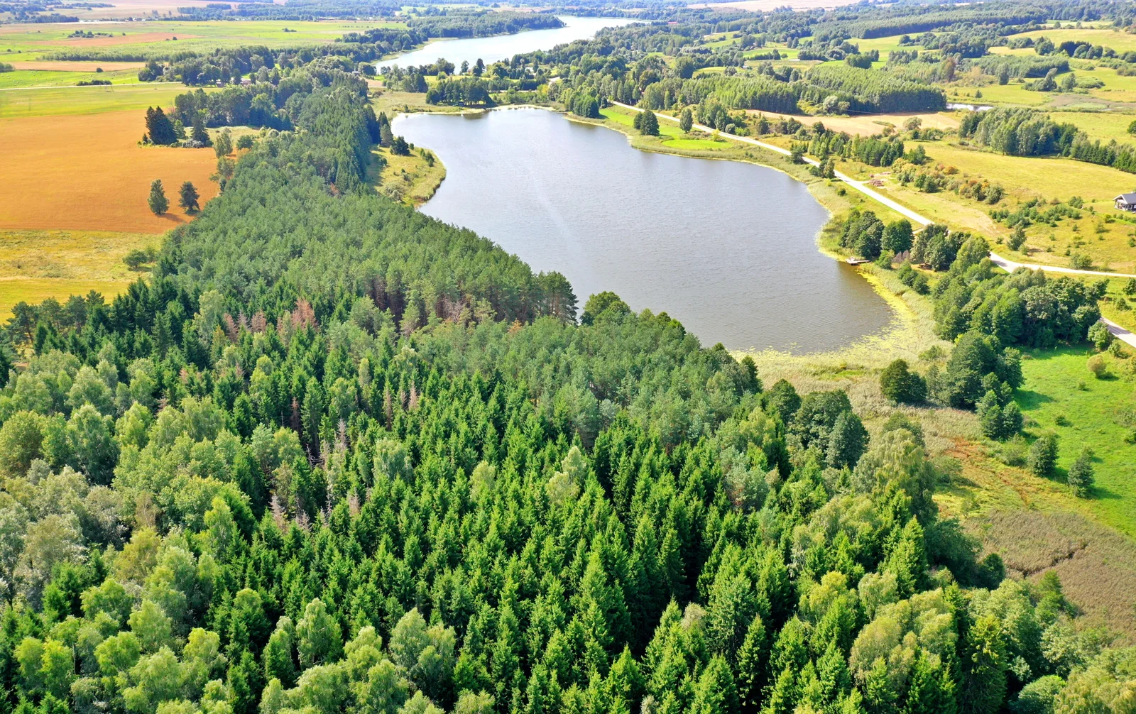 Sklypas Molėtų rajono sav., Šileliuose – nuotrauka 4