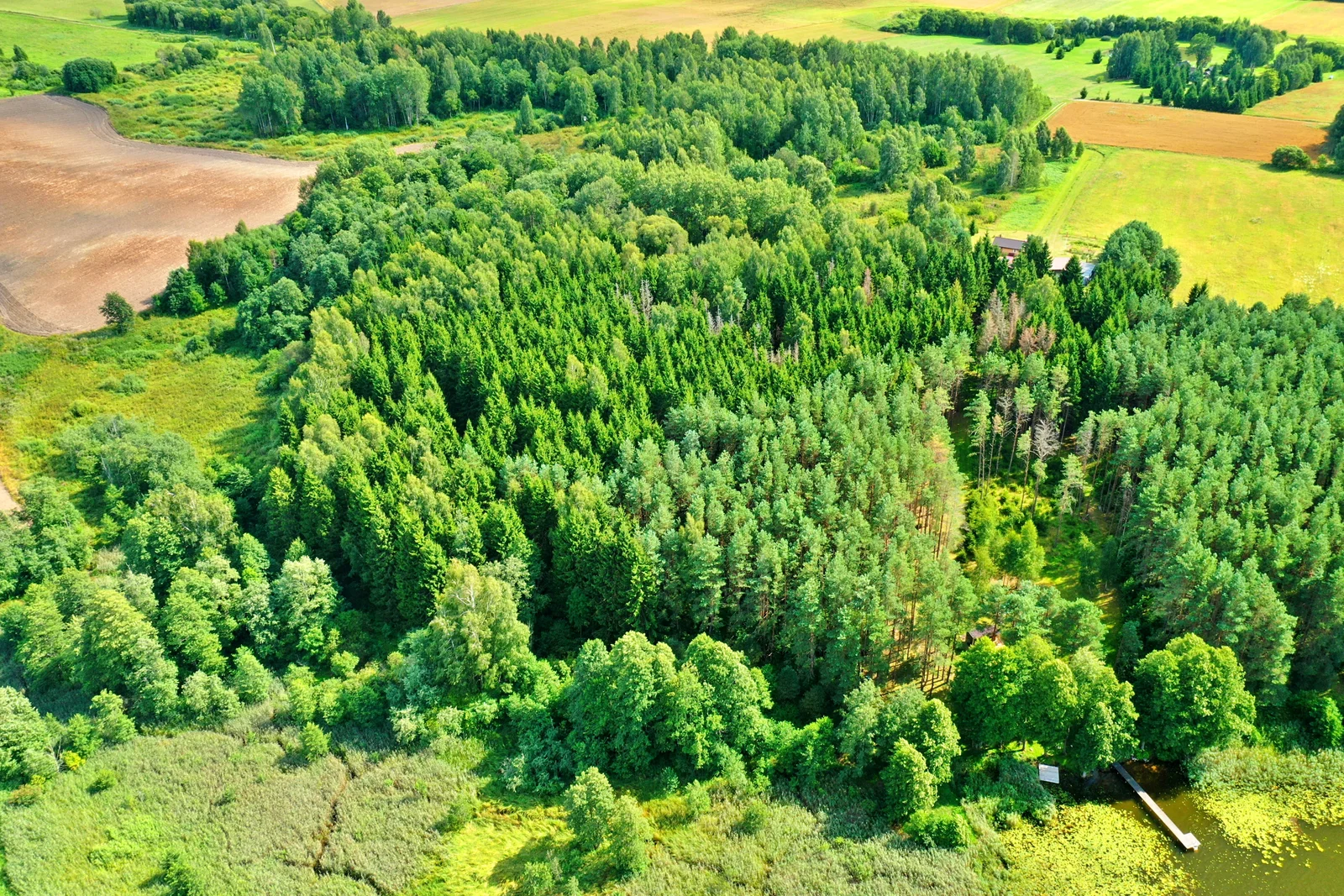 Sklypas Molėtų rajono sav., Šileliuose – nuotrauka 5