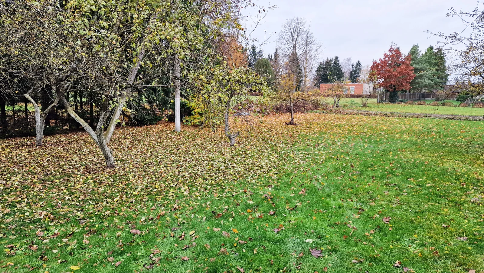 Gyvenamasis namas Pasvalio rajono sav., Daujėnuose, Stoties g. – nuotrauka 5