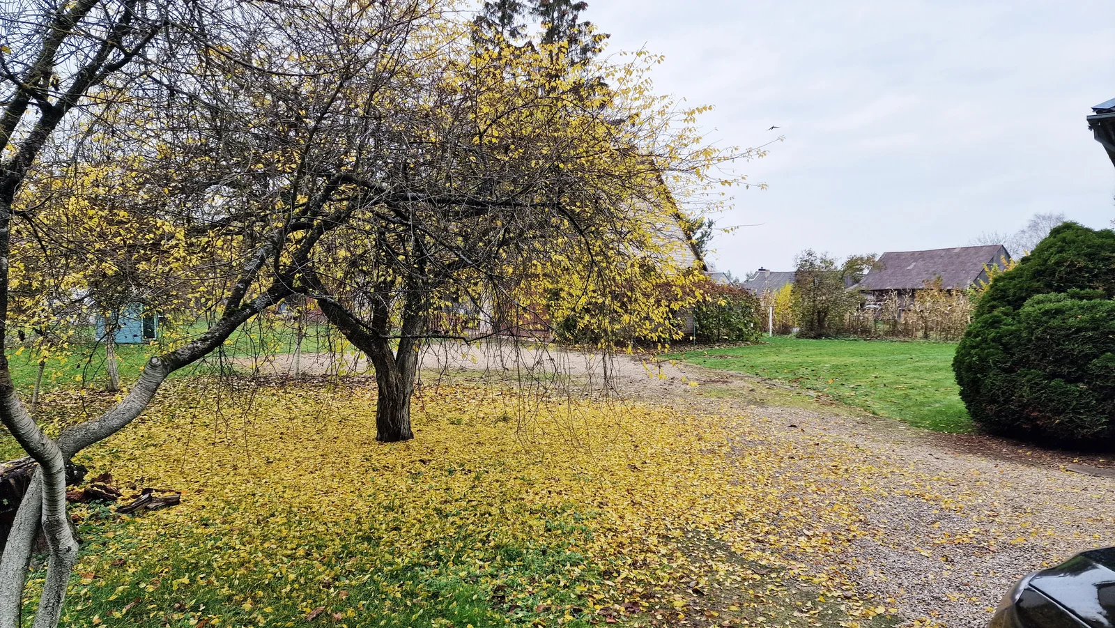 Gyvenamasis namas Pasvalio rajono sav., Daujėnuose, Stoties g. – nuotrauka 6