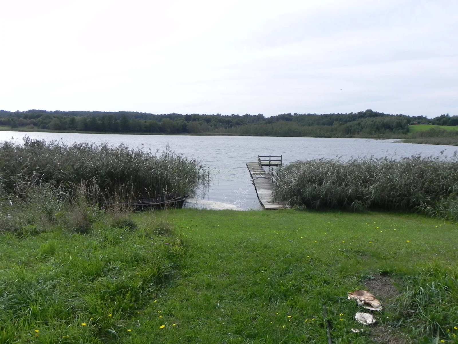 Sodyba Molėtų rajono sav., Čereškos, Gėlių g. – nuotrauka 4