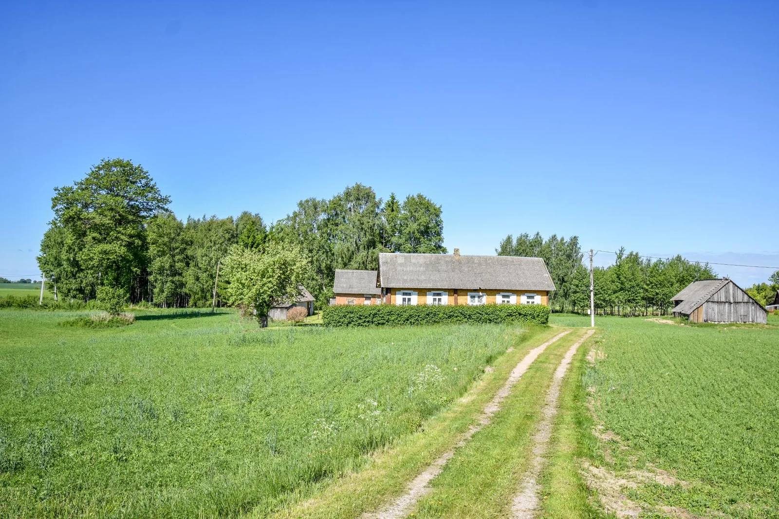 Sklypas Kupiškio rajono sav., Pabūdyje – nuotrauka 6