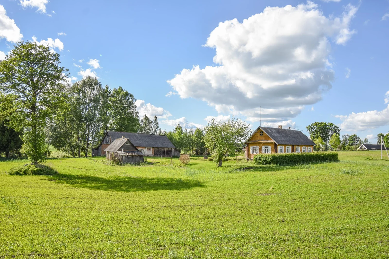 Sklypas Kupiškio rajono sav., Pabūdyje – nuotrauka 5