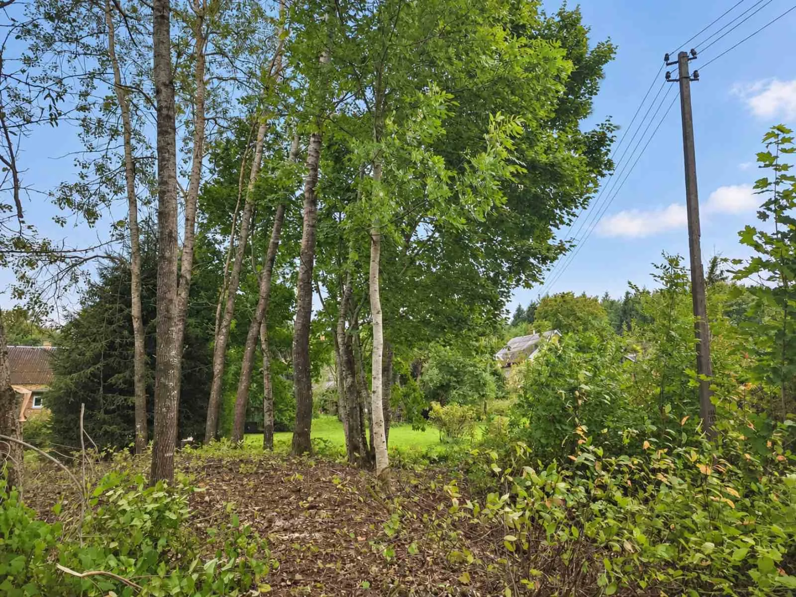Sklypas Molėtų rajono sav., Šnieriškėse, Aiseto g. – nuotrauka 3