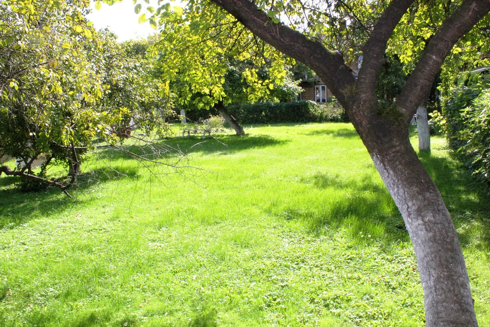 Gyvenamasis namas Panevėžyje Centre, Vilties g. – nuotrauka 4