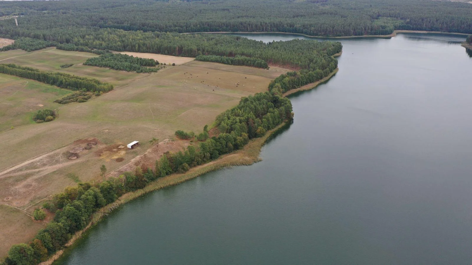 Sklypas Lazdijų rajono sav., Kailiniuose, Šilo g. – nuotrauka 3
