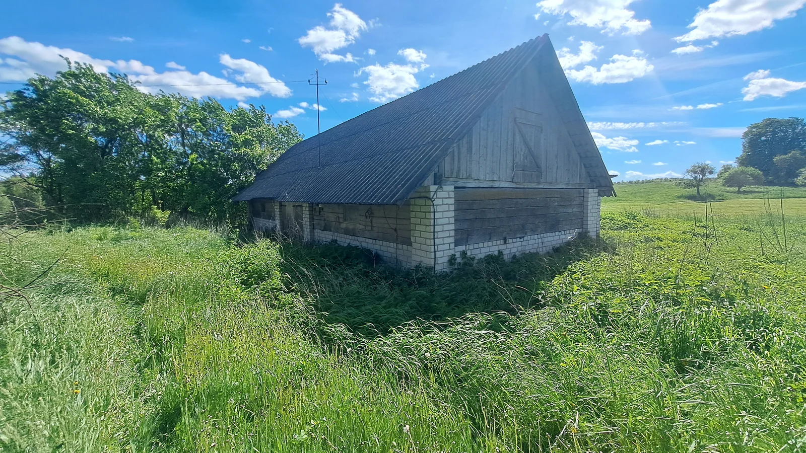 Sodyba Alytaus rajono sav., Plikionyse – nuotrauka 6