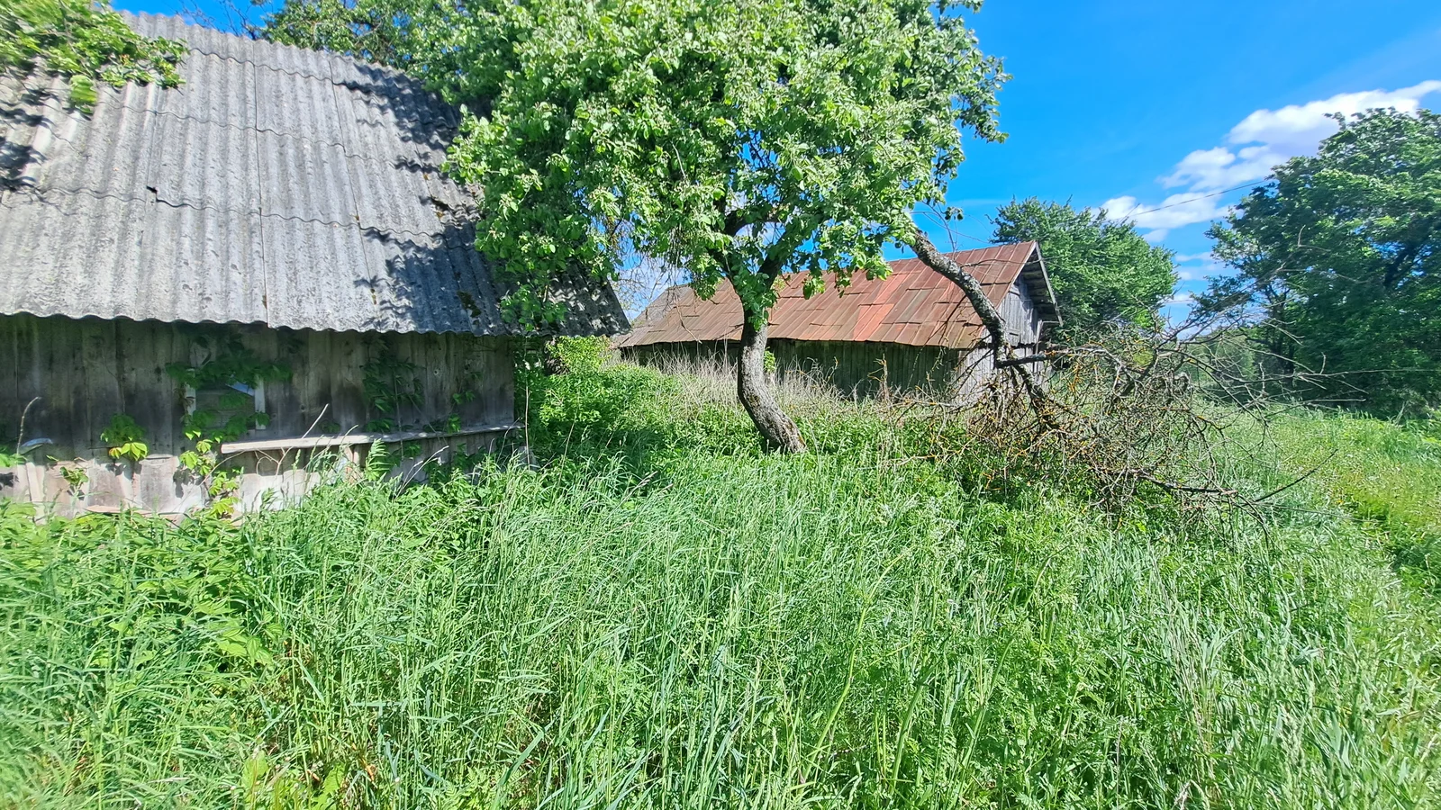 Sodyba Alytaus rajono sav., Plikionyse – nuotrauka 5