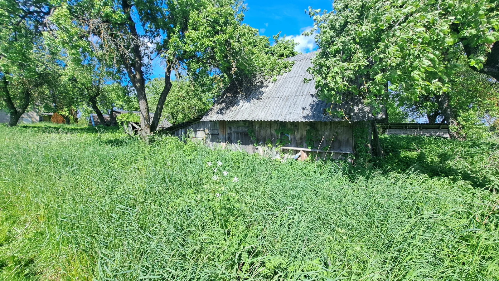 Sodyba Alytaus rajono sav., Plikionyse – nuotrauka 4