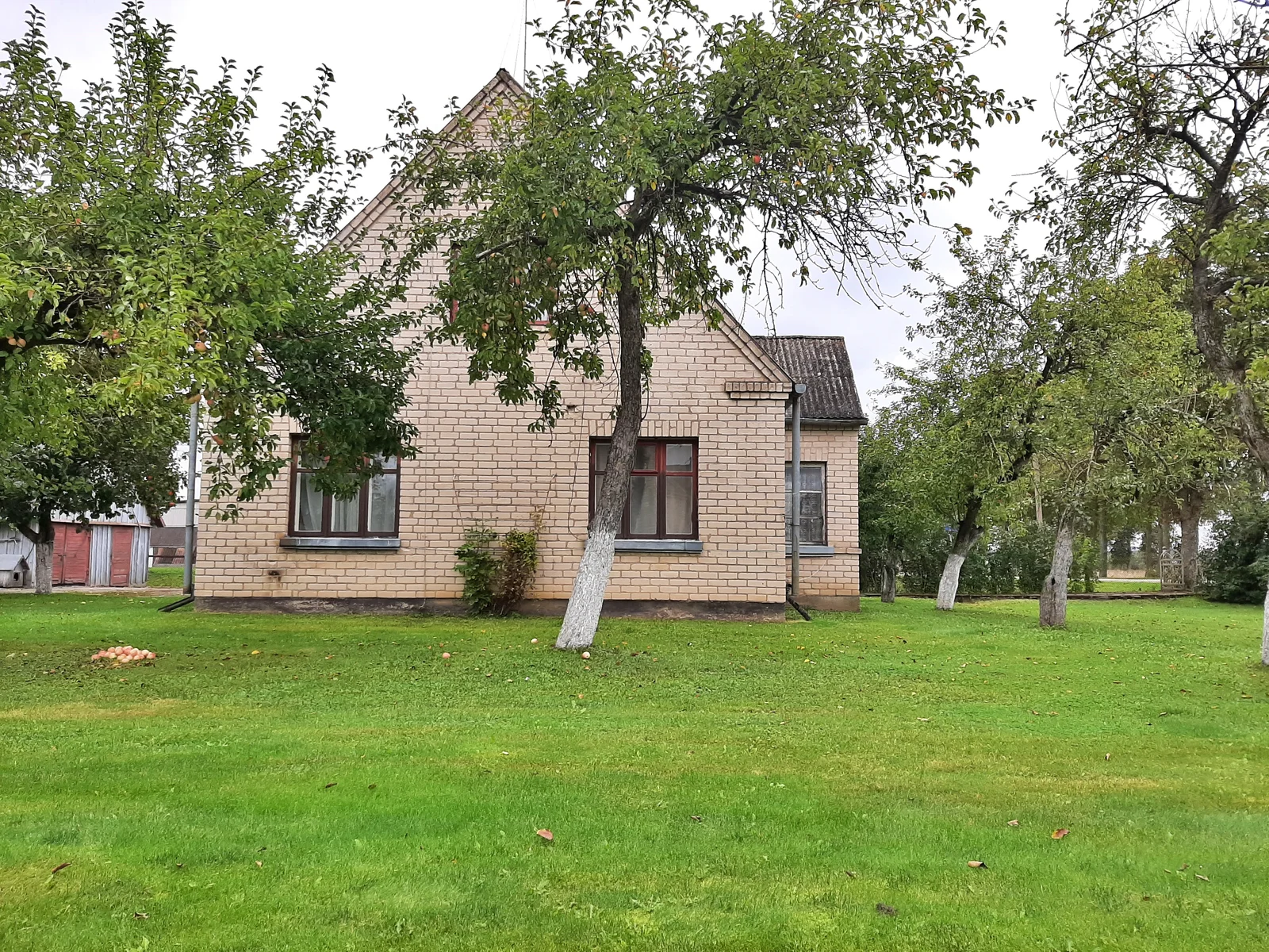 Farmstead Joniškio rajono sav., Pavirčiuvėje, Liepų g. – image 4