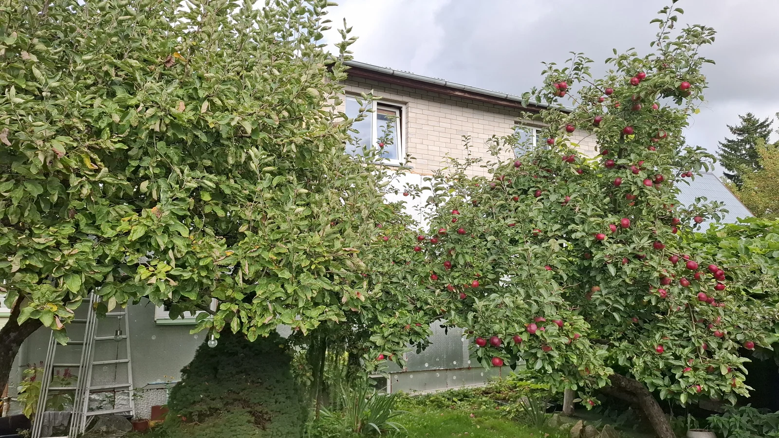 Gyvenamasis namas Panevėžyje Centre, Kanapių g. – nuotrauka 6