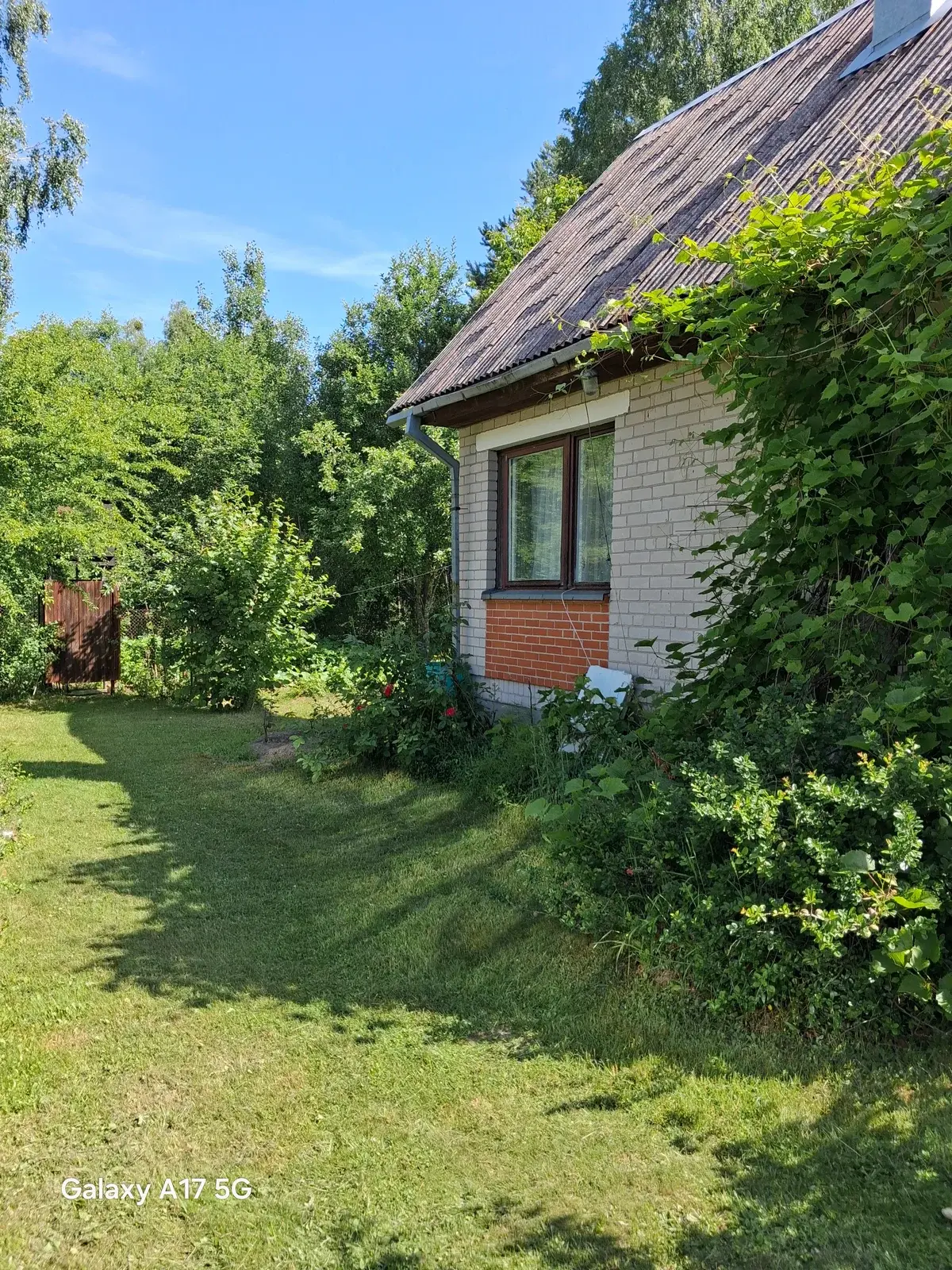 Sodo namas Varėnos rajono sav., Barčiuose, Miško g. – nuotrauka 4