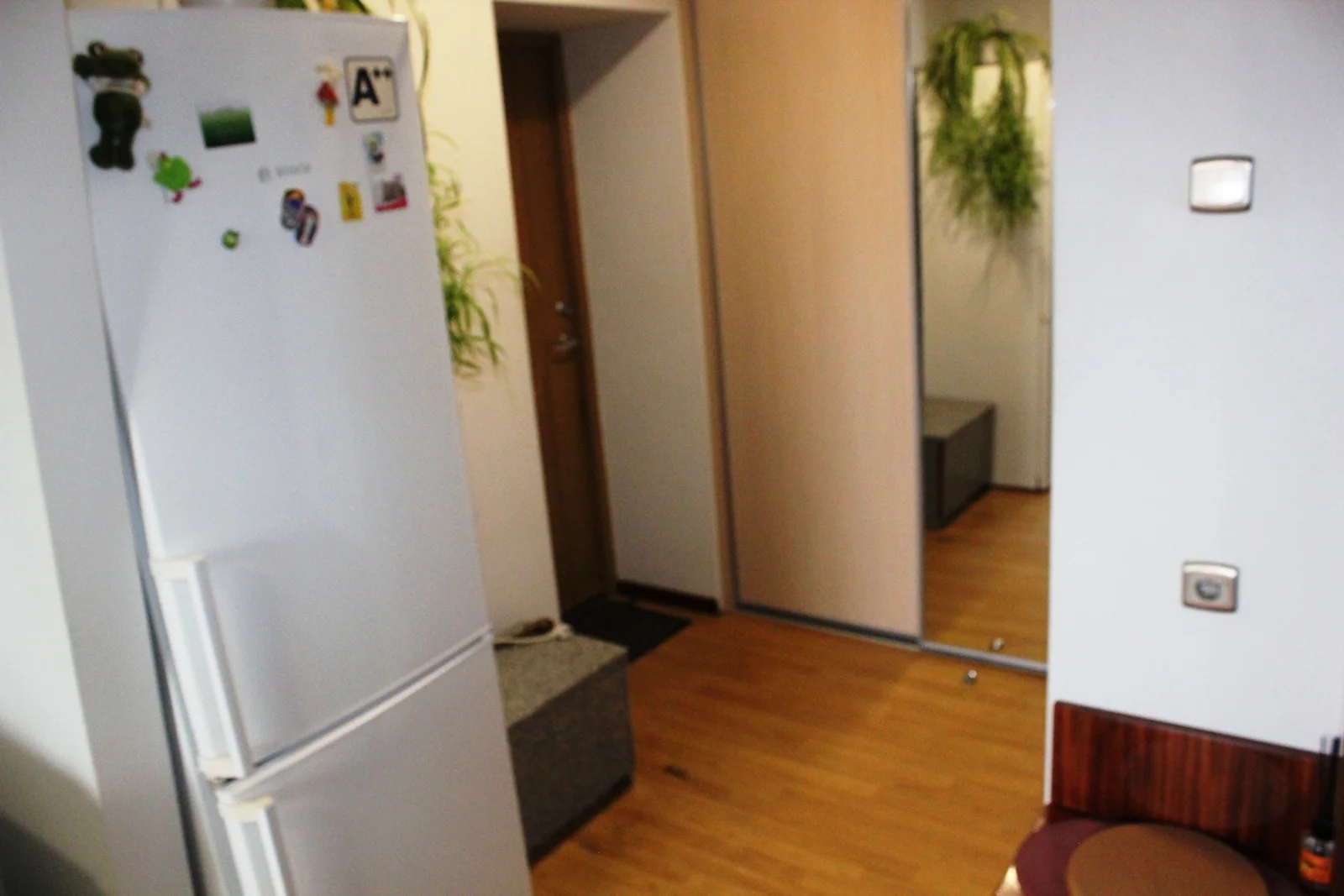 Nemuno g., Centras, Panevėžys, 1 kamb. – nuotrauka 6