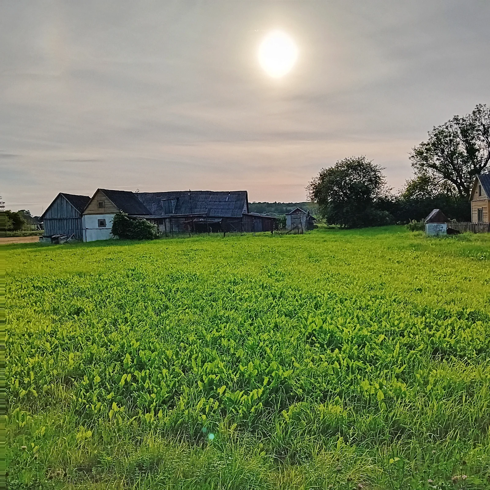 Sodyba Pakruojo r. sav., Girbutkiuose, Liepų g. – nuotrauka 6