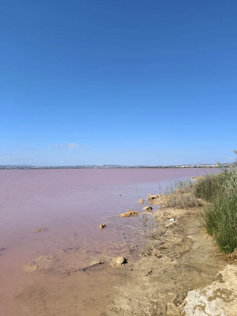 4 kambarių butas Ispanijoje, Torreviejoje – nuotrauka 3