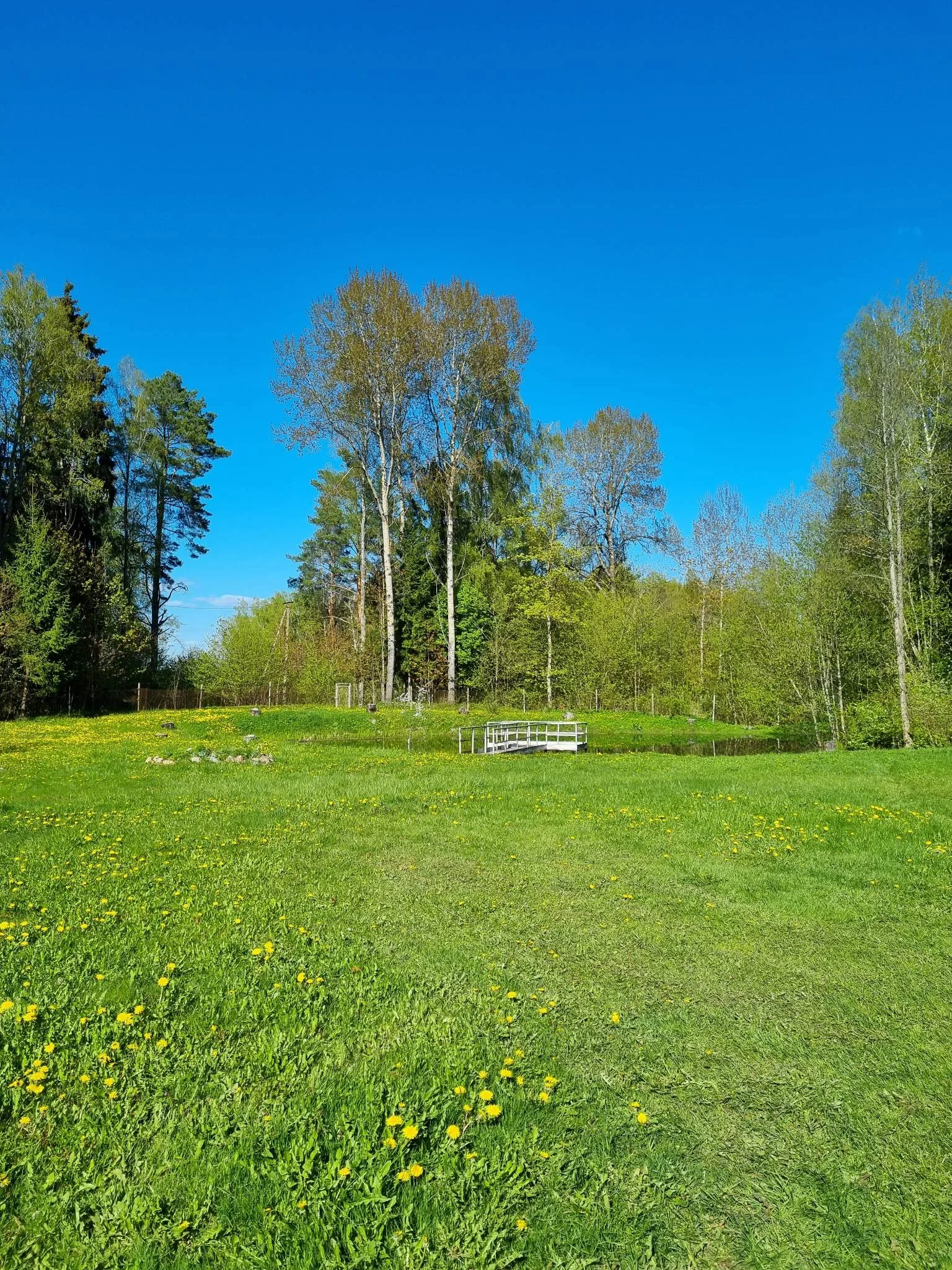 Kita Ignalinos r. sav., Magūnuose – nuotrauka 3
