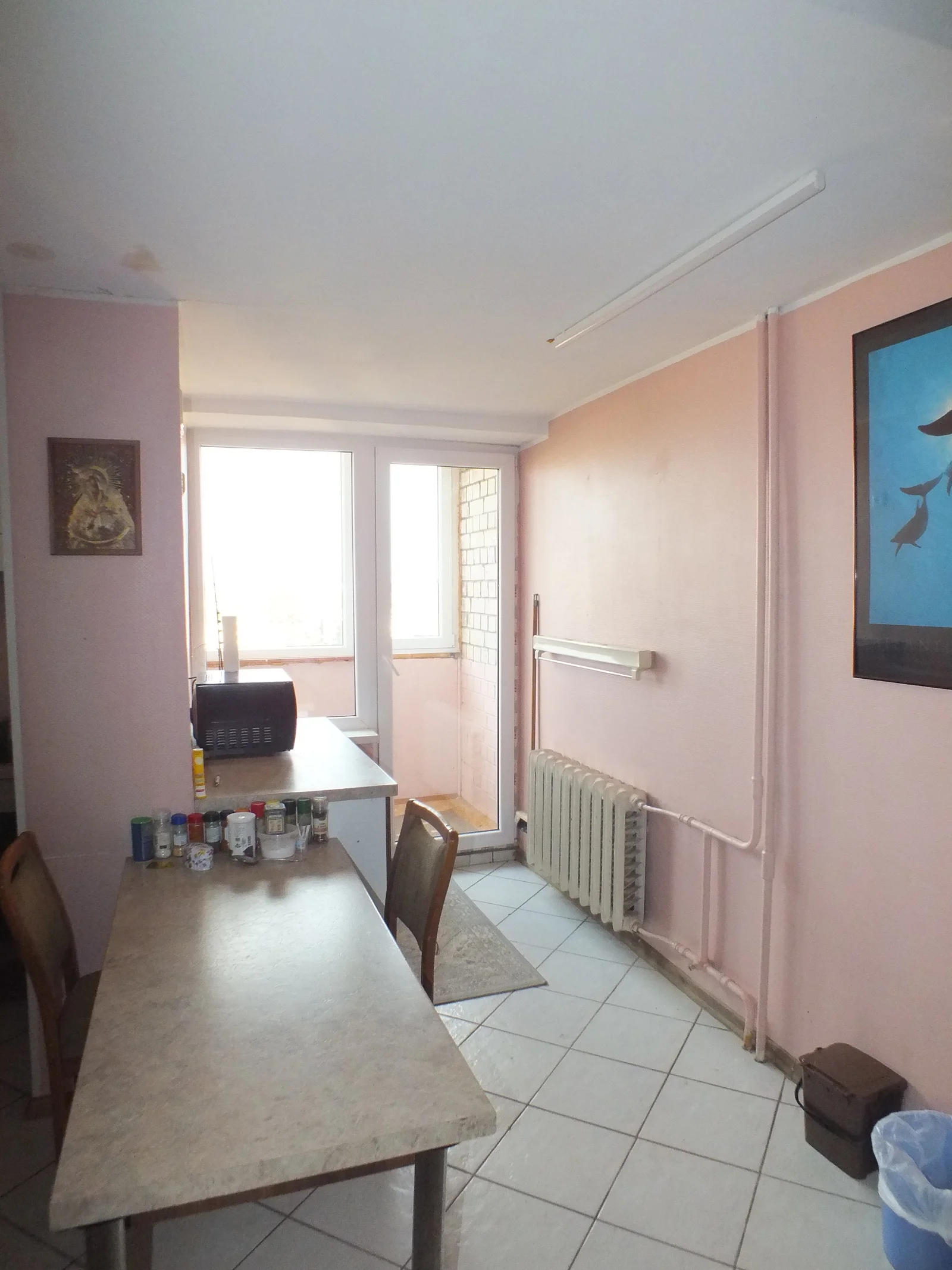 Nemuno g., Molainiai, Panevėžys, 1 kamb. – nuotrauka 6