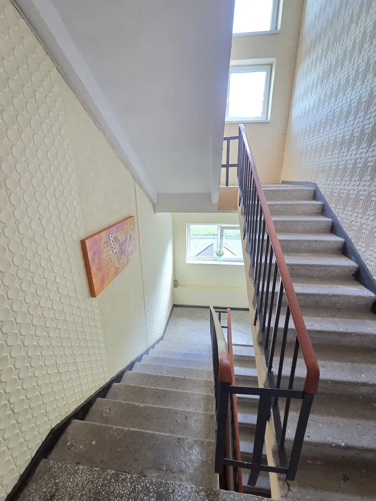 Plytinės g., Aleksandrija, 3 kamb. – nuotrauka 6
