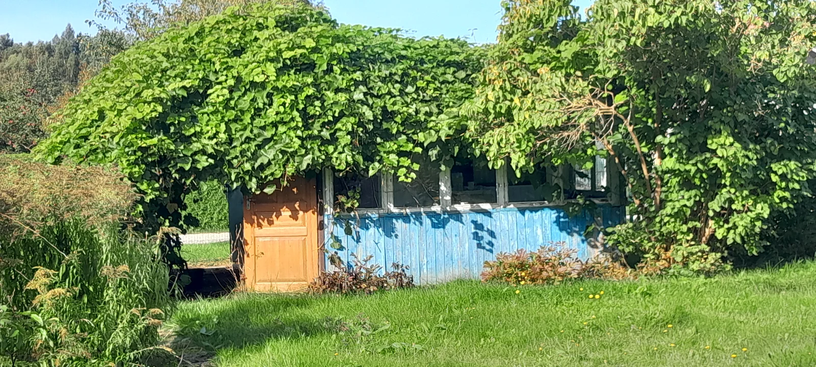 Sklypas Klaipėdos r. sav., Kisiniuose, Beržų g. – nuotrauka 3
