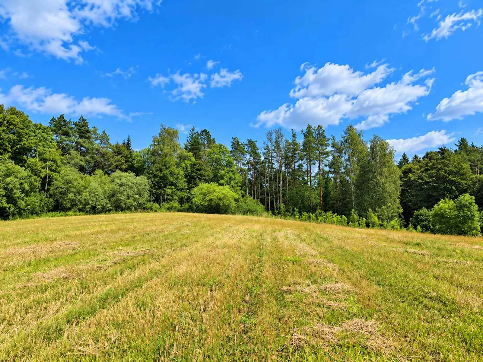 Sklypas Anykščių r. sav., Gyliuose, Gylių g. – nuotrauka 5