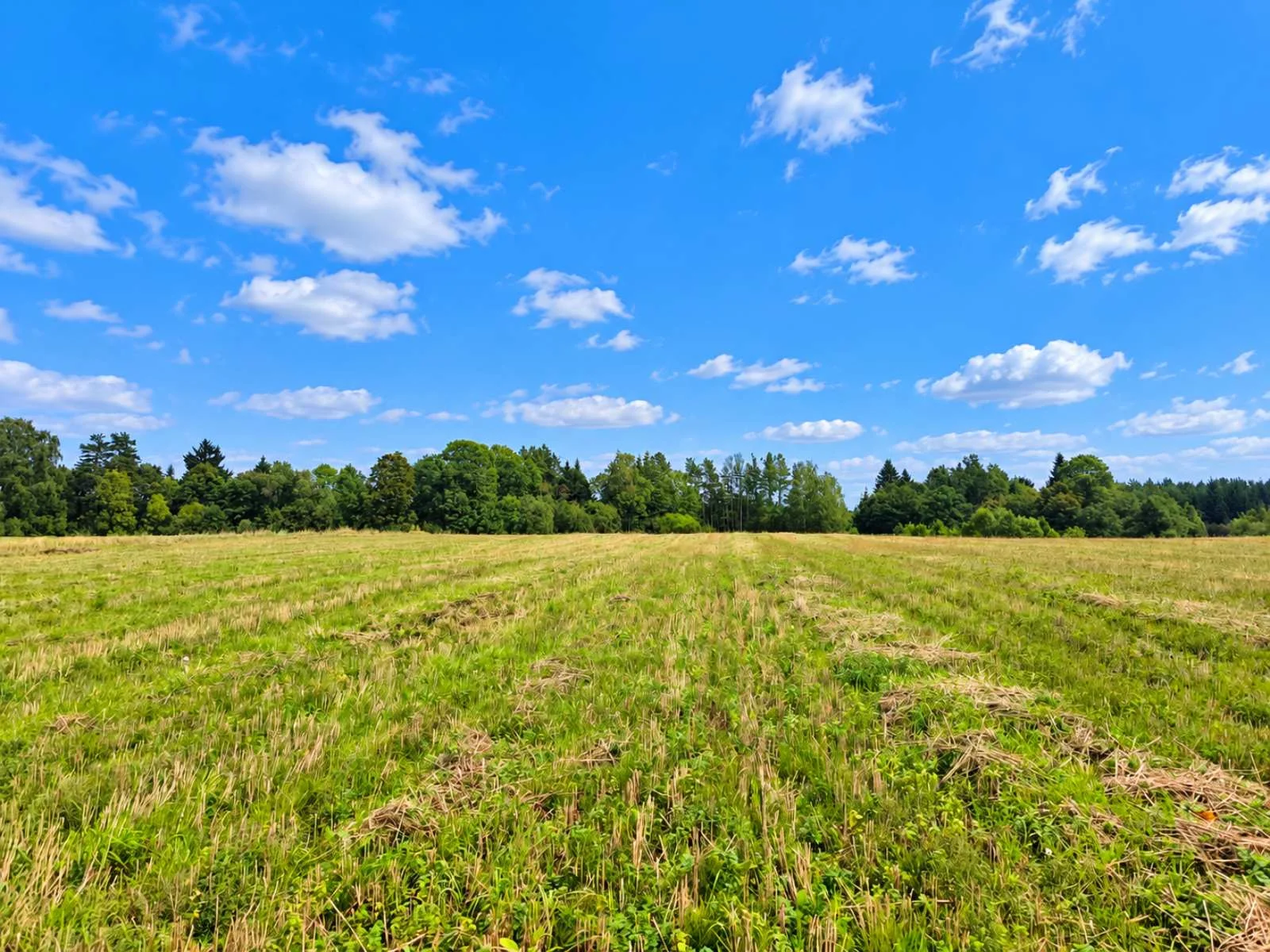 Sklypas Anykščių r. sav., Gyliuose, Gylių g. – nuotrauka 4