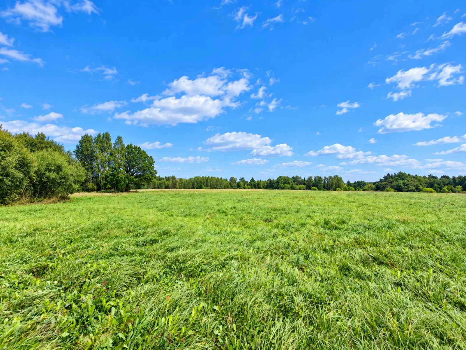 Sklypas Anykščių r. sav., Gyliuose, Gylių g. – nuotrauka 3