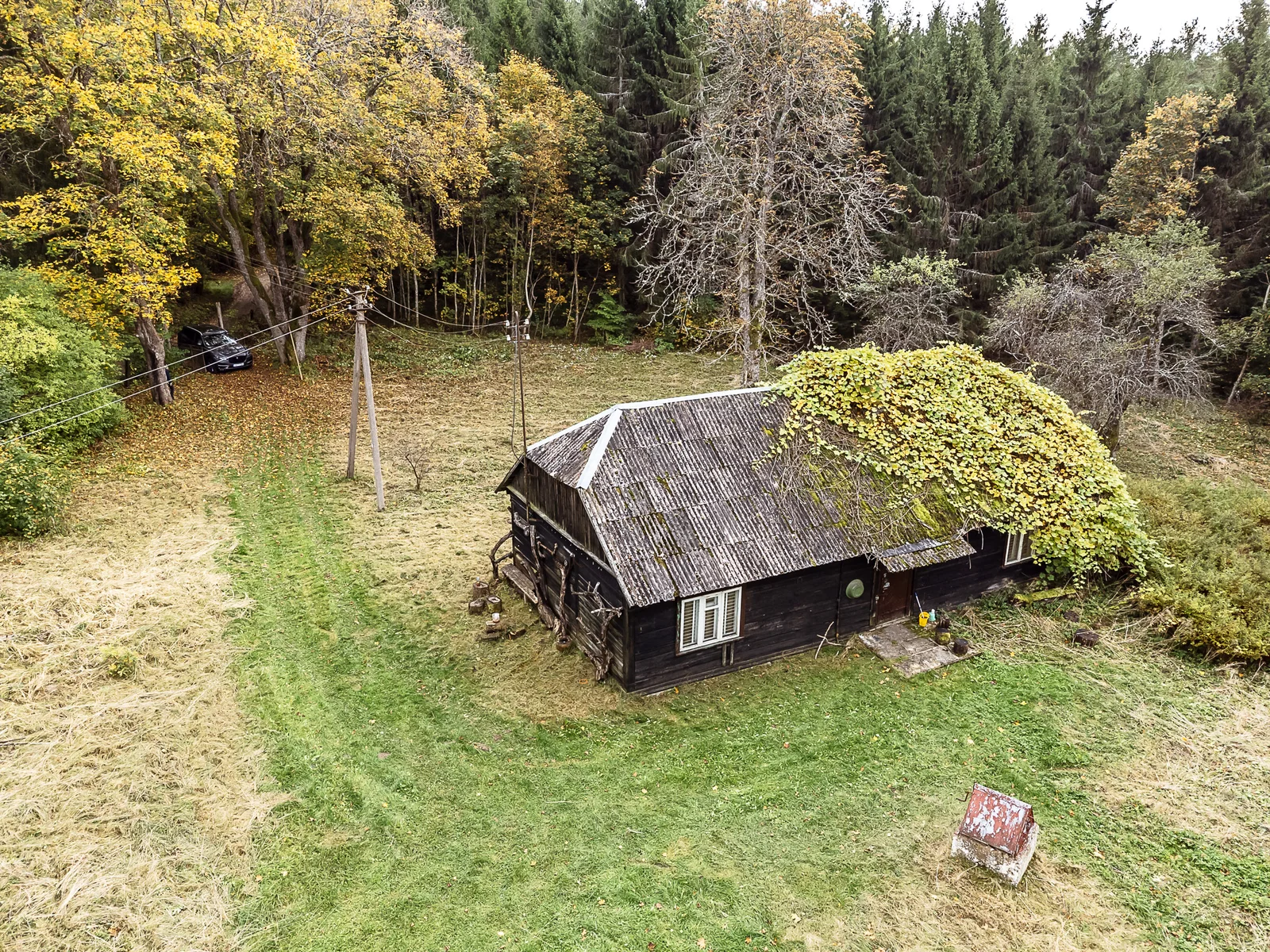 Farmstead Kelmės r. sav., Jadvygavoje – image 3