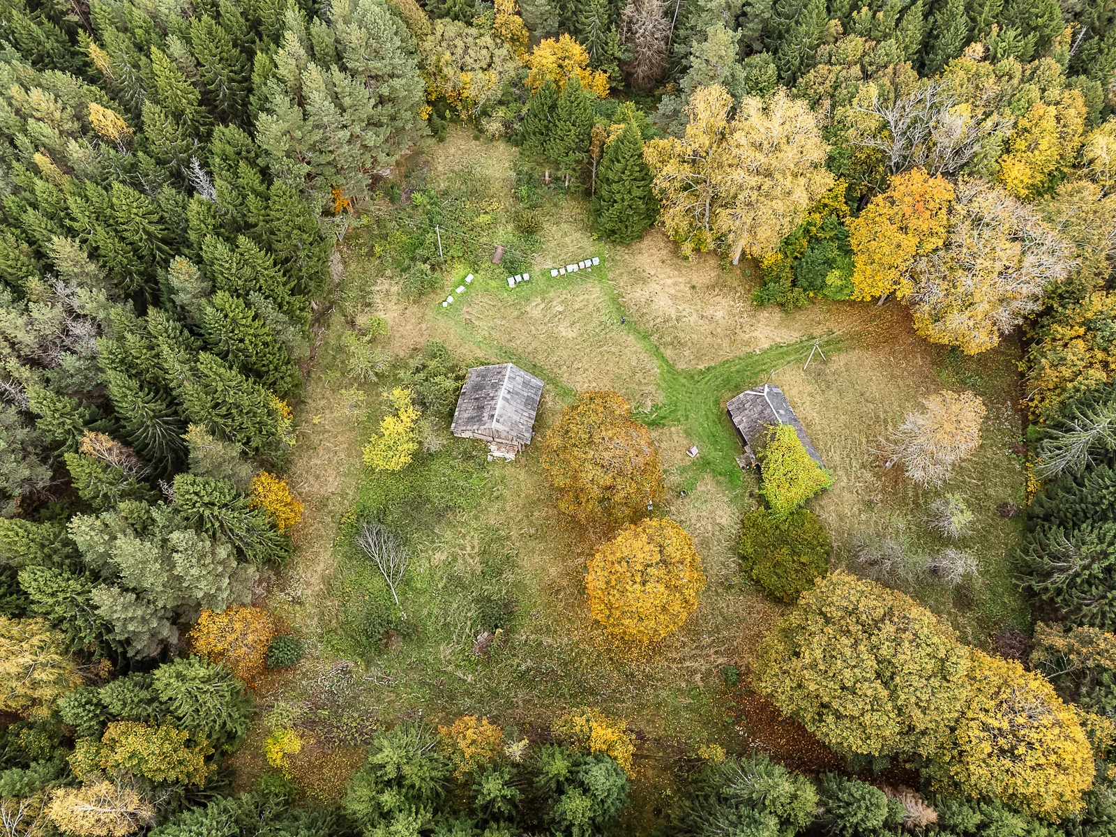 Farmstead Kelmės r. sav., Jadvygavoje – image 4