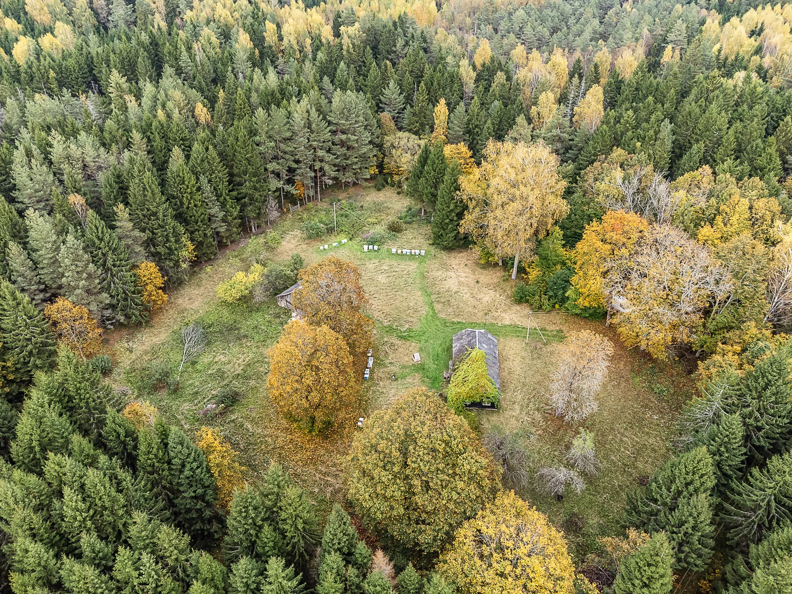Farmstead Kelmės r. sav., Jadvygavoje – image 5