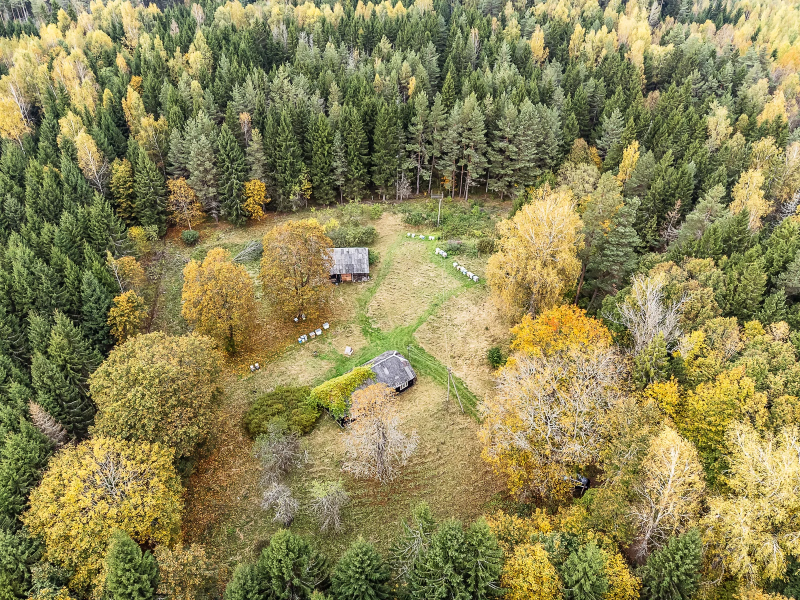 Farmstead Kelmės r. sav., Jadvygavoje – image 6