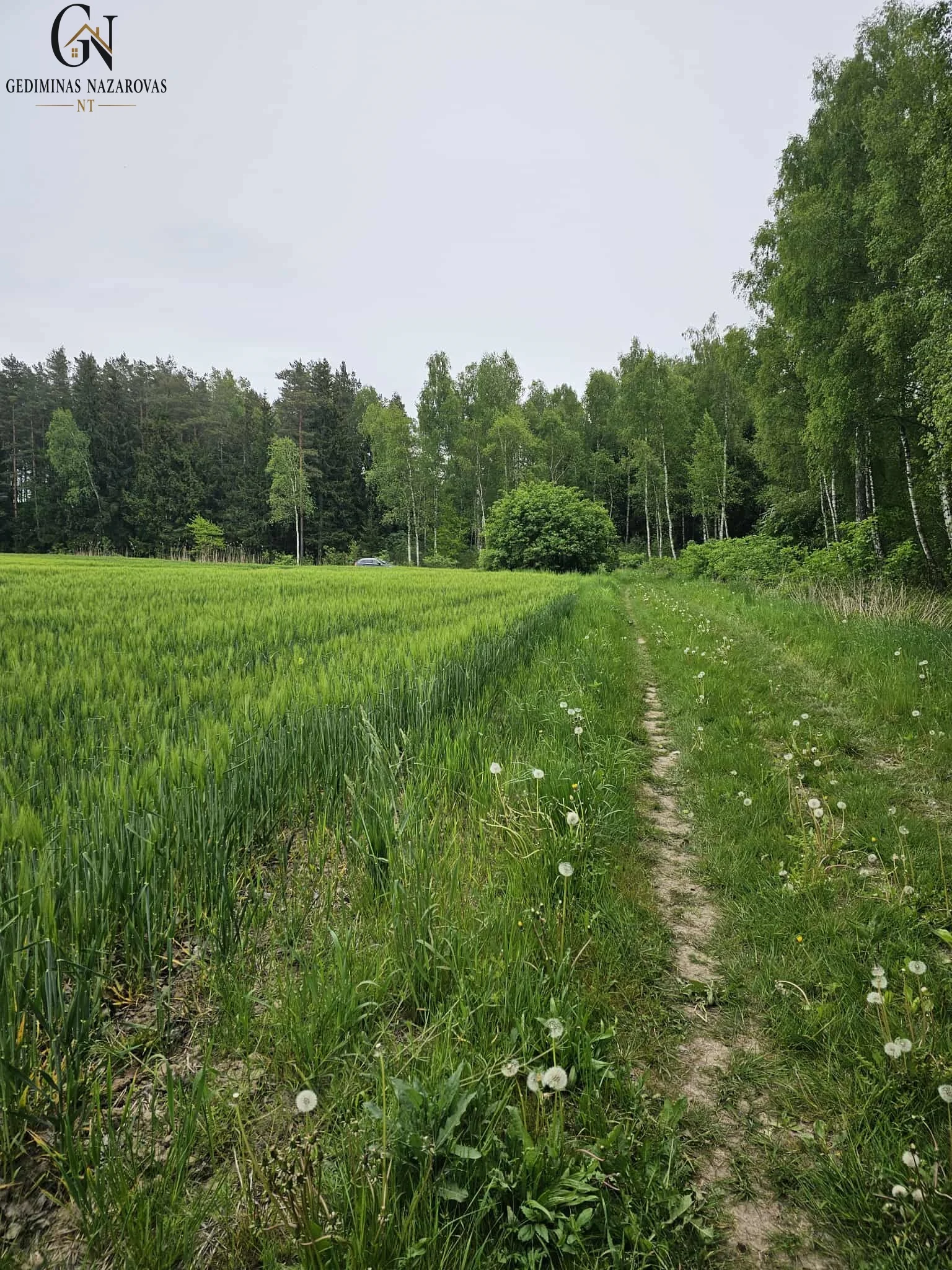 Sklypas Klaipėdos r. sav., Šlapšilėje, Plytų g. – nuotrauka 3