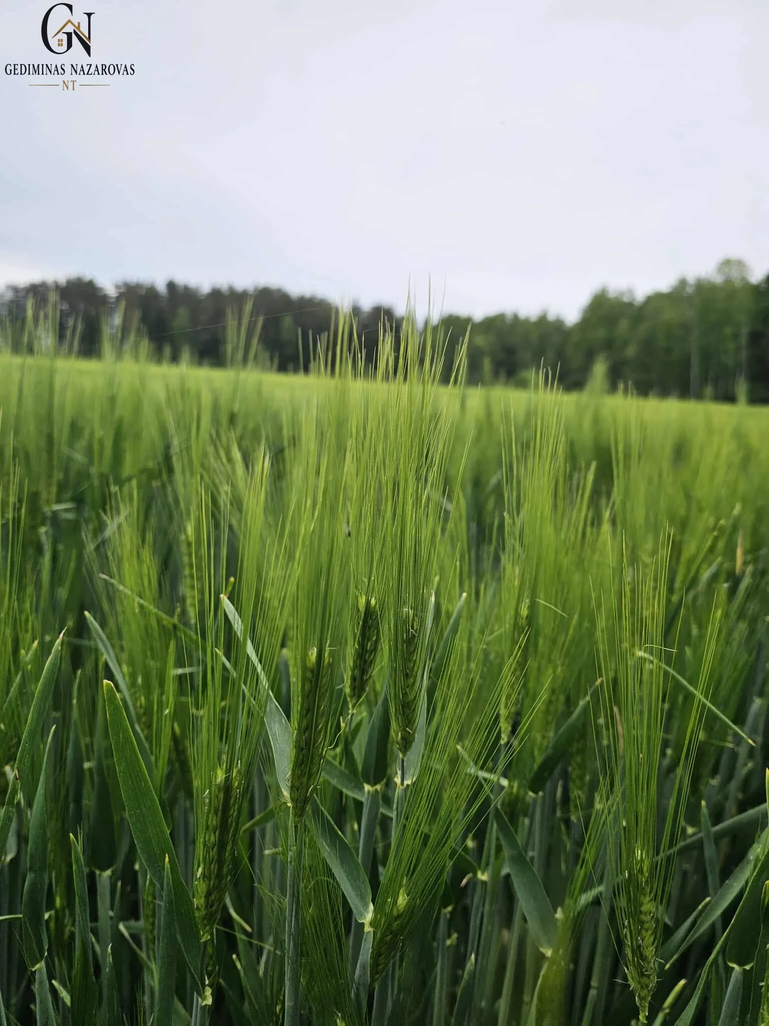 Sklypas Klaipėdos r. sav., Šlapšilėje, Plytų g. – nuotrauka 6