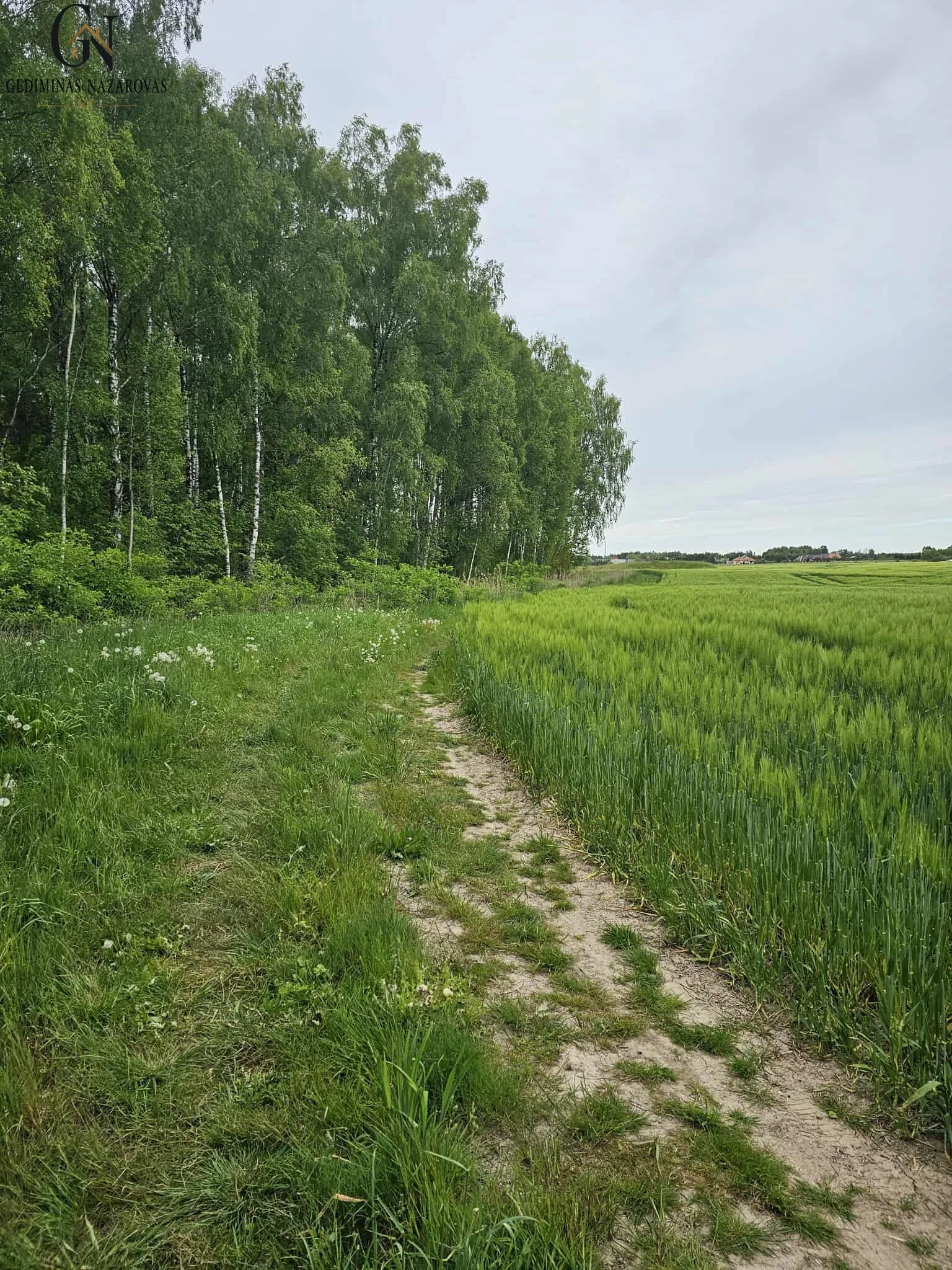 Sklypas Klaipėdos r. sav., Šlapšilėje, Plytų g. – nuotrauka 5