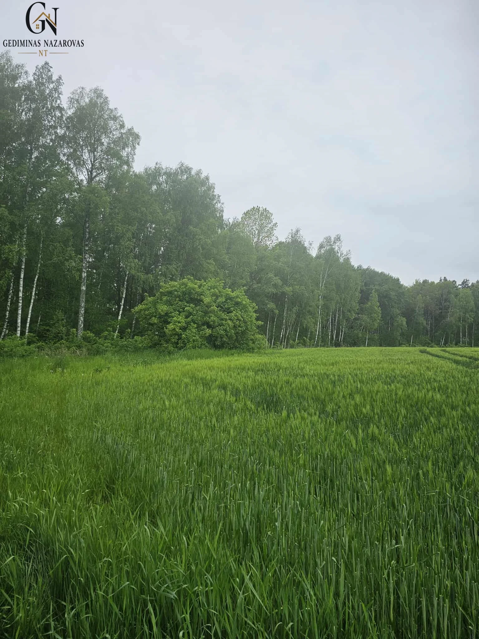 Sklypas Klaipėdos r. sav., Šlapšilėje, Plytų g. – nuotrauka 4