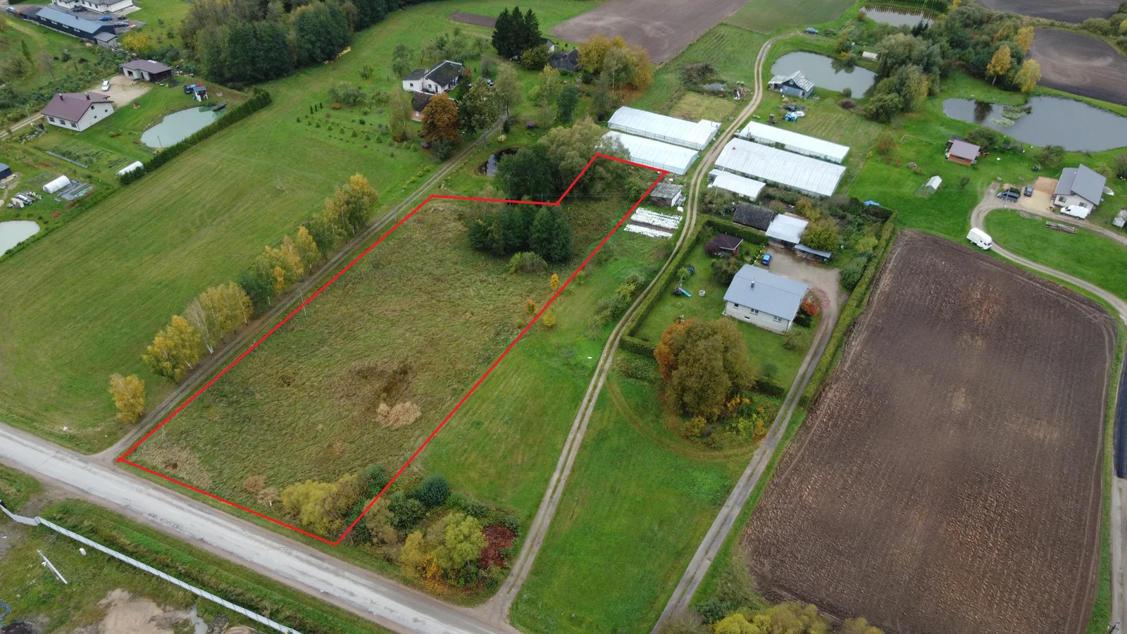 Sklypas Alytaus r. sav., Žaunieriškiuose, Nemuno g. – nuotrauka 4