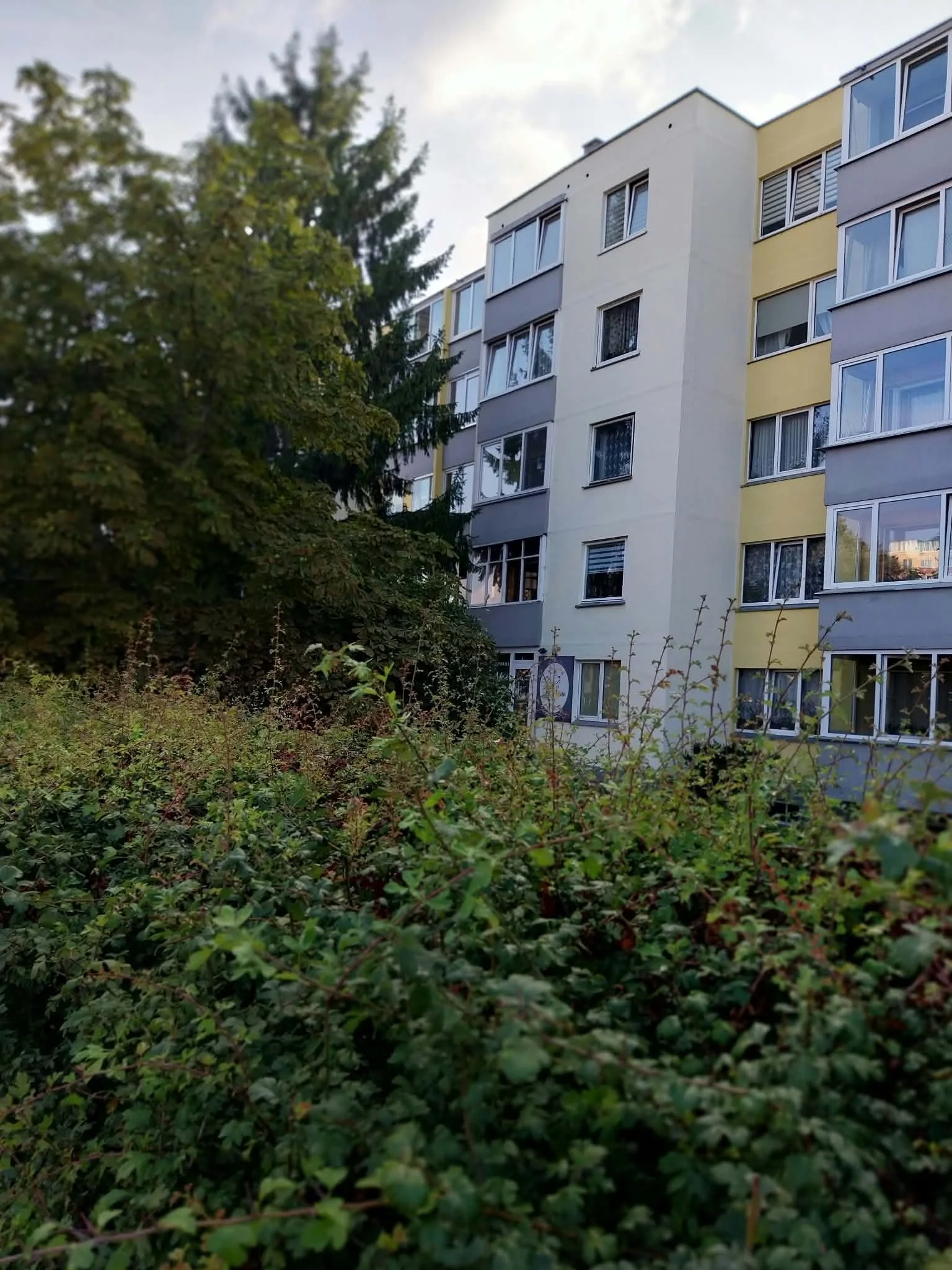 Dariaus ir Girėno g., Klaipėdos, Panevėžys, 1 kamb. – nuotrauka 1