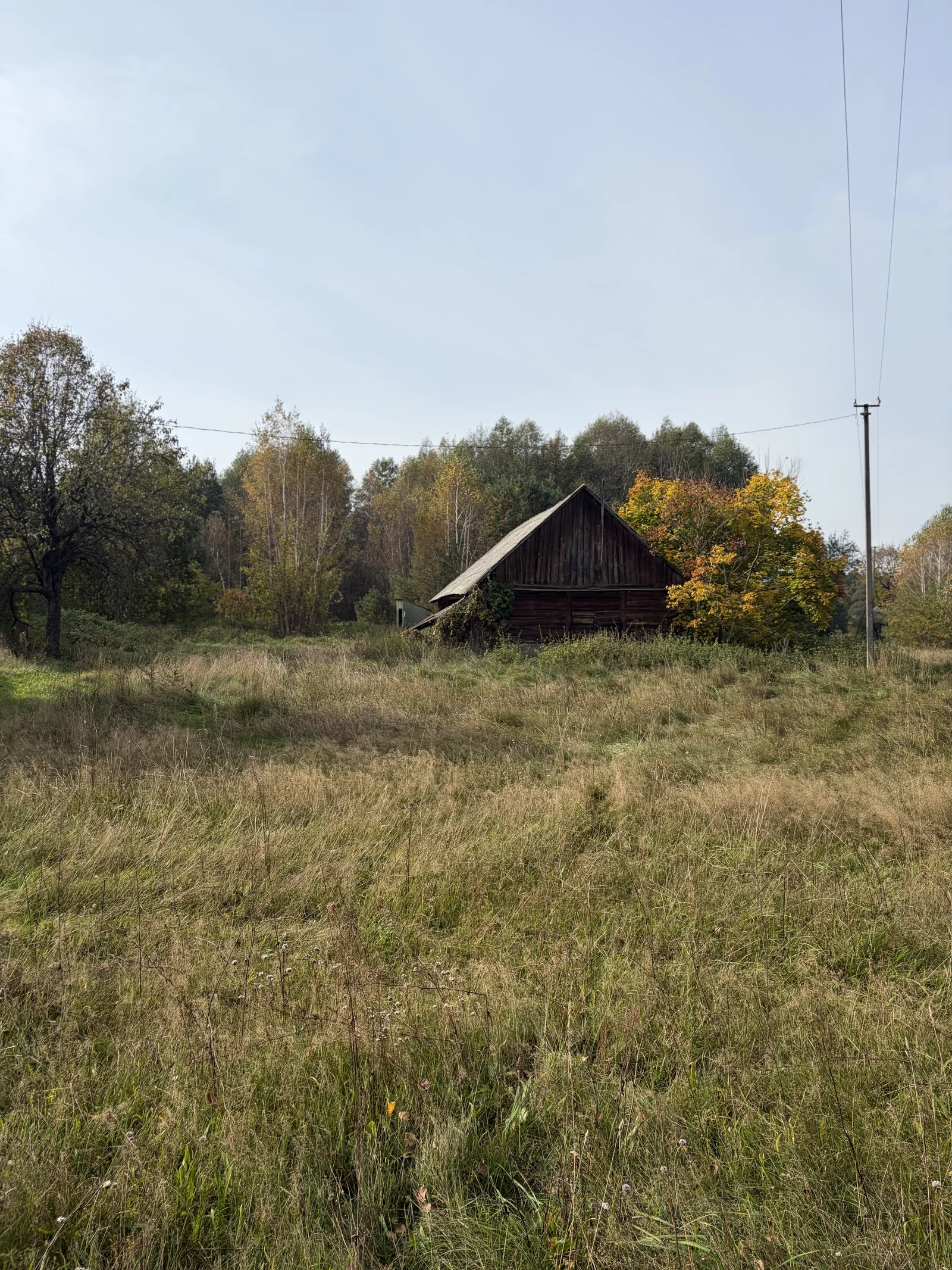 Жилой дом Lazdijų r. sav., Bugiedoje, Pamiškės g. – изображение 5