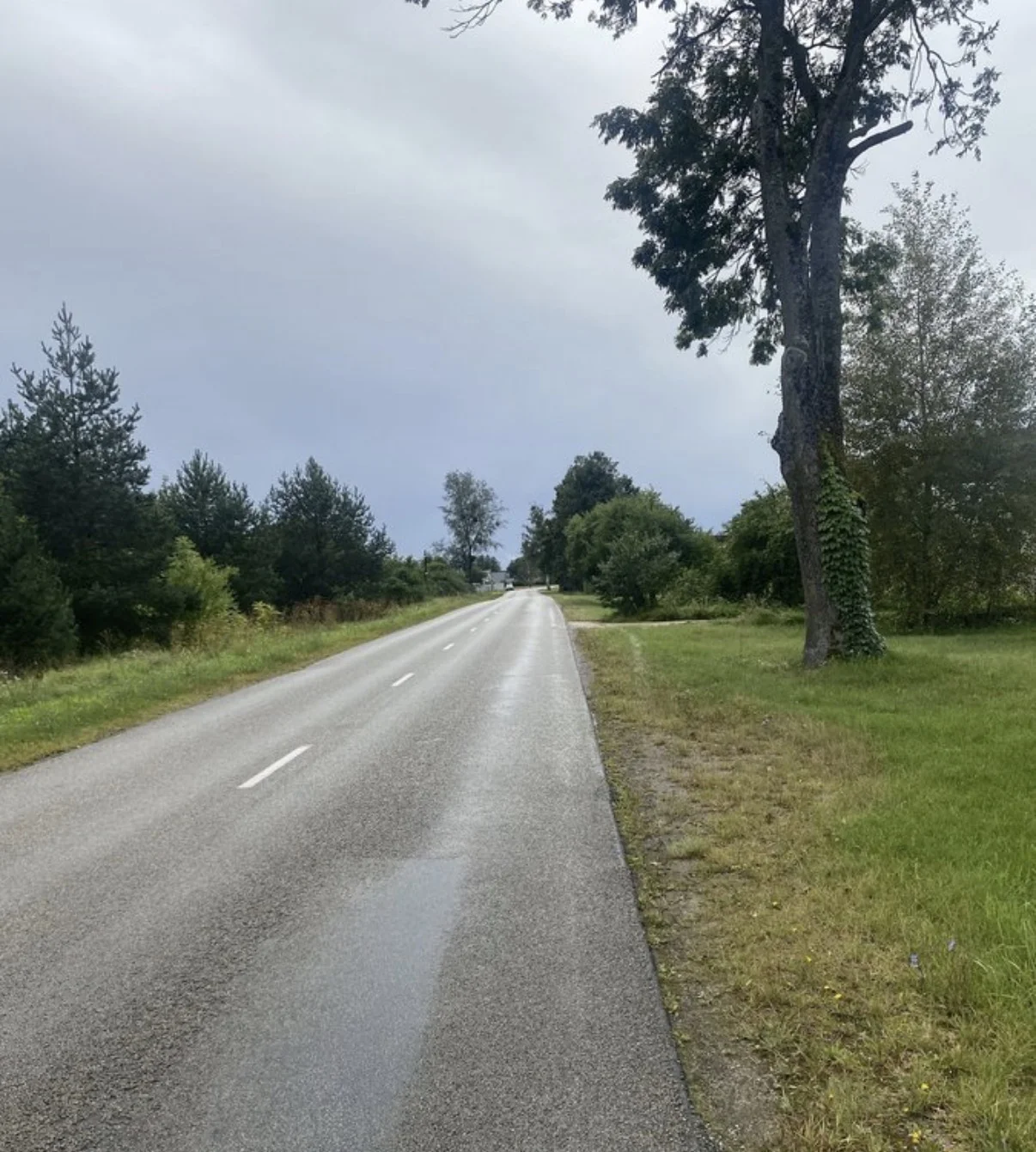 Gyvenamasis namas Druskininkų sav., Gailiūnuose, Gailiūnų g. – nuotrauka 5
