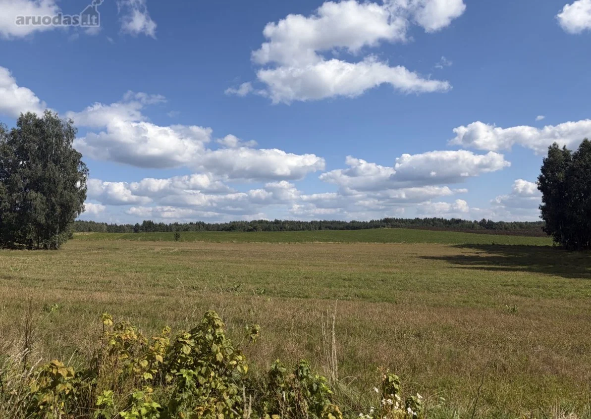 Gyvenamasis namas Druskininkų sav., Ricieliuose, Senoji g. – nuotrauka 6