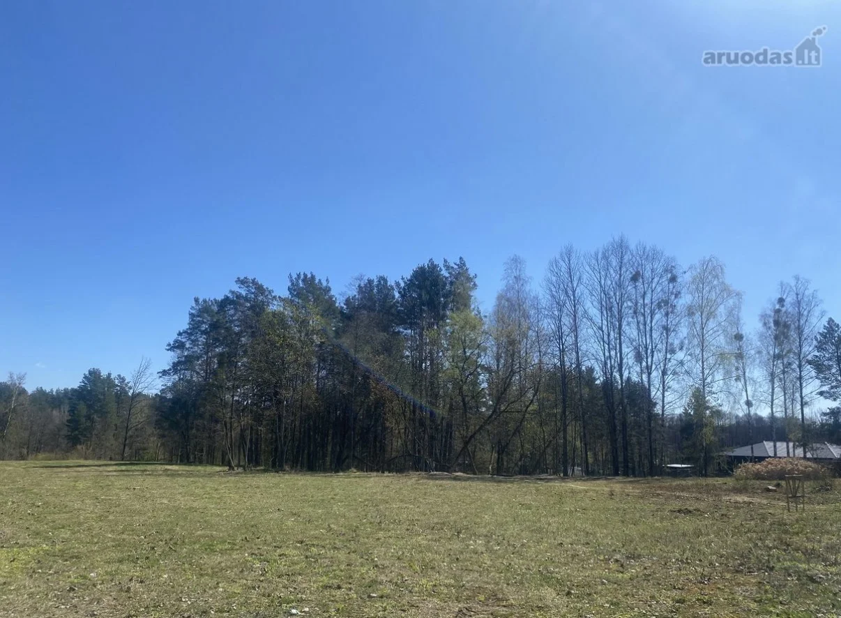 Sklypas Druskininkų sav., Druskininkuose, Baltašiškės g. – nuotrauka 4