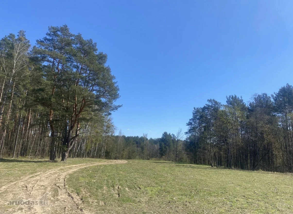 Sklypas Druskininkų sav., Druskininkuose, Baltašiškės g. – nuotrauka 6