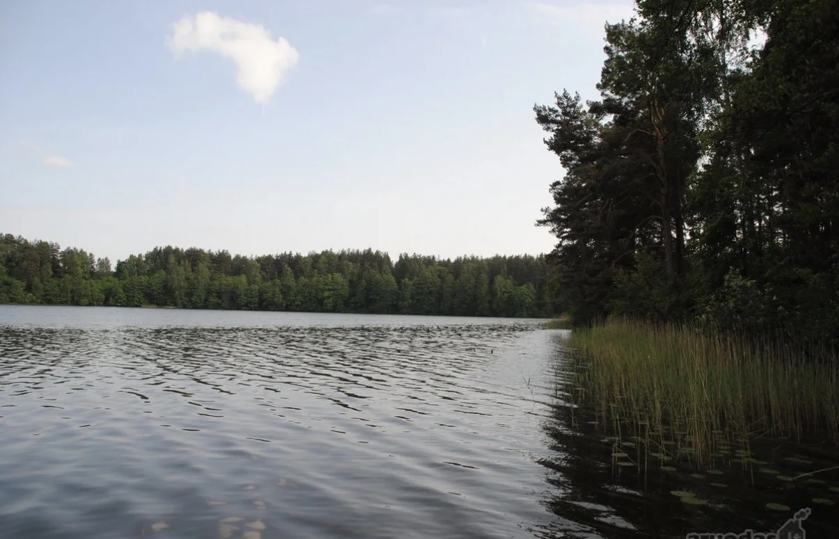 Sklypas Lazdijų r. sav., Šlavantuose, Šlavantų g. – nuotrauka 1
