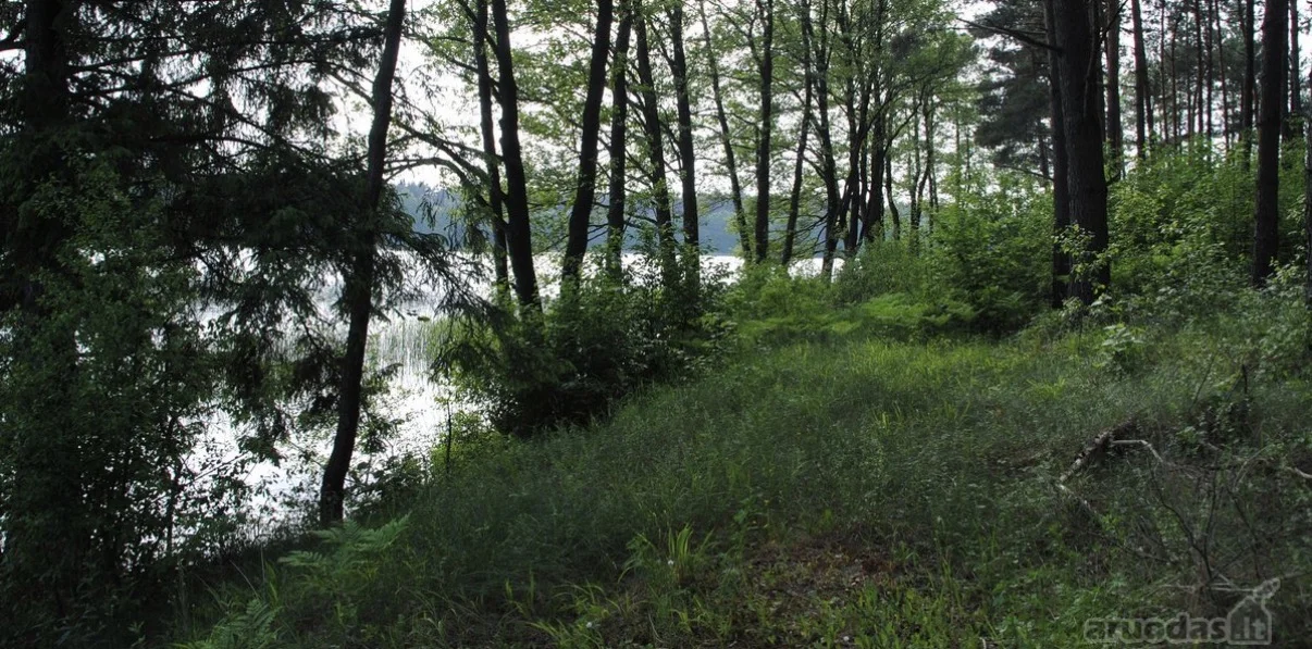 Sklypas Lazdijų r. sav., Šlavantuose, Šlavantų g. – nuotrauka 4