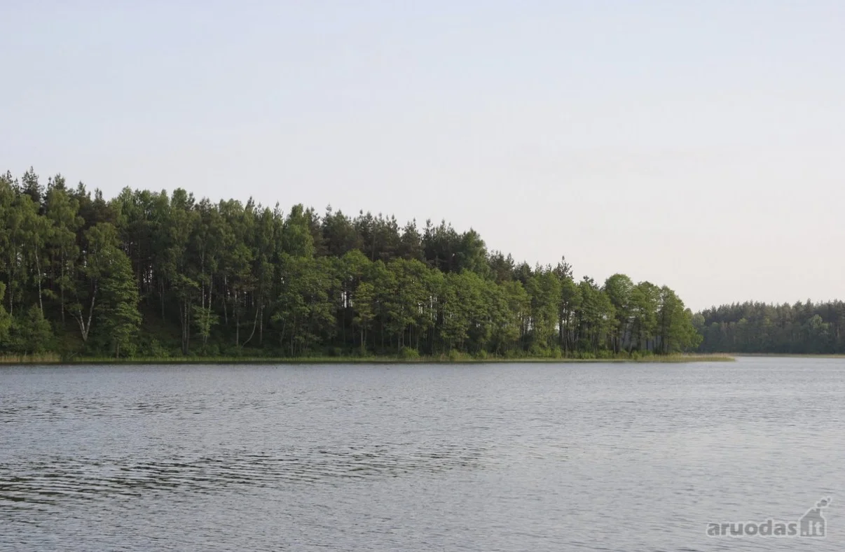 Sklypas Lazdijų r. sav., Šlavantuose, Šlavantų g. – nuotrauka 3
