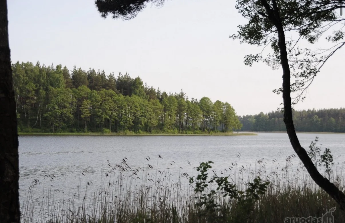 Sklypas Lazdijų r. sav., Šlavantuose, Šlavantų g. – nuotrauka 6