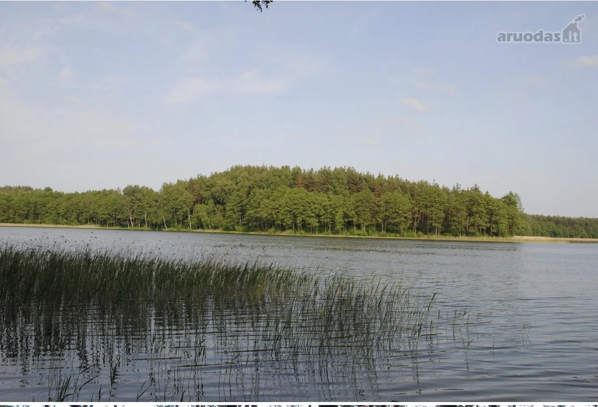 Sklypas Lazdijų r. sav., Šlavantuose, Šlavantų g. – nuotrauka 5