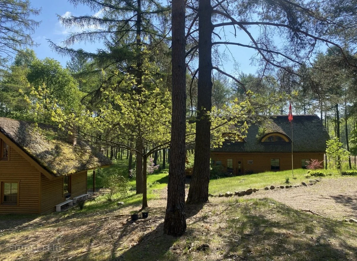Sodyba Lazdijų r. sav., Padumbliuose, Veisiejų pl. – nuotrauka 5