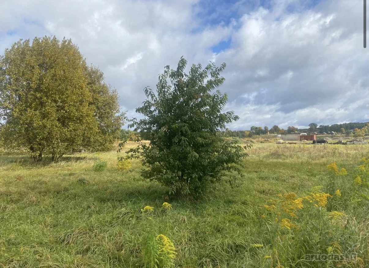 Sklypas Druskininkų sav., Neravuose, Dvarlaukio g. – nuotrauka 3